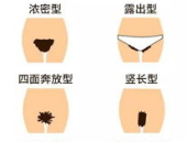 私密分为都有什么形状,探索隐秘角落的形态奥秘